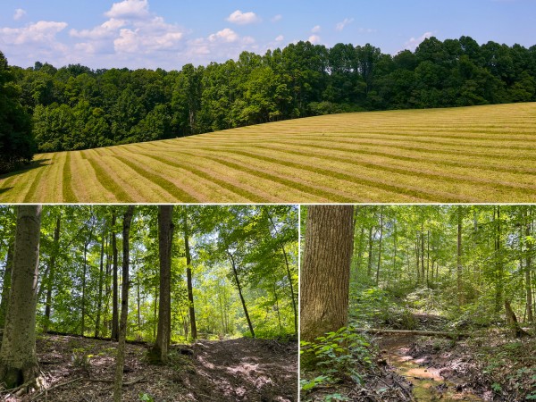 Tract 3 at Wolf Hill Estates - Vinton County, Ohio - 5.0 acres