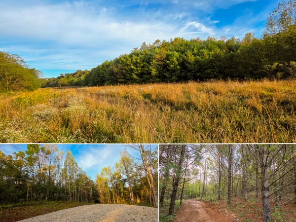 Lot 2 at Scenic Trails - Perry County, Ohio - 7.0 acres