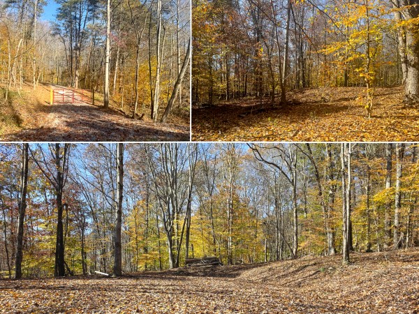 The Ponds at Poplar Ridge – Tract 2 - Gallia County, Ohio - 5.0 acres