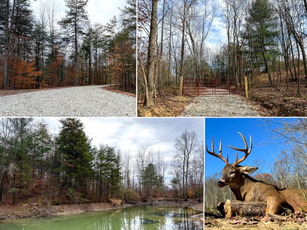 Lot 3 - The Woods at Turkey Run - Perry County, Ohio - 5.7 acres