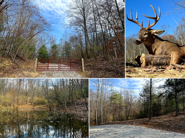 Lot 2 - The Woods at Turkey Run - Perry County, Ohio - 5.4 acres