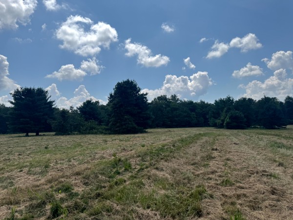 Tract 6 at Skyline Acres - Pike County, Ohio - 7.4 acres