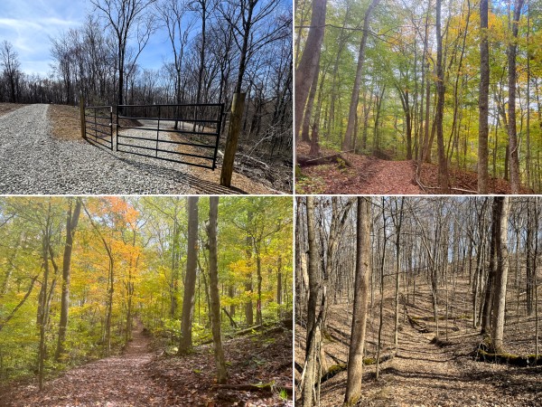 Tract 4 at Shawnee Woods - Perry County, Ohio - 5.2 acres