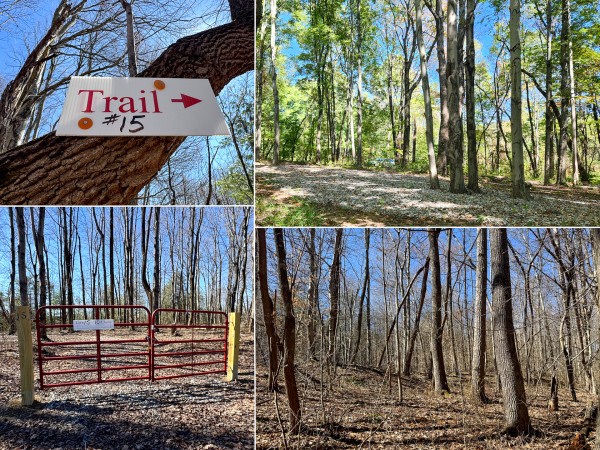 The Ponds at Poplar Ridge – Tract 15 - Gallia County, Ohio - 10.5 acres