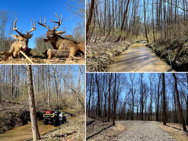 Lot 5 - The Woods at Turkey Run With Creek - Perry County, Ohio - 12.0 acres