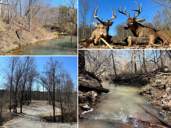 Lot 6 - The Woods at Turkey Run With Creek - Perry County, Ohio - 12.9 acres