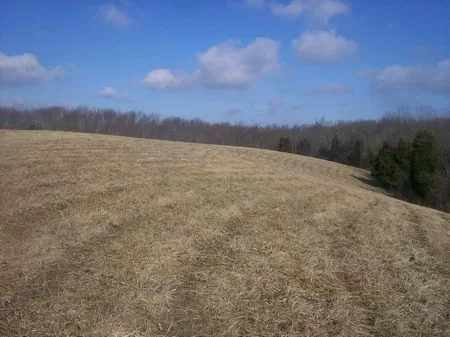 Hunting Land From 23 - 45 Acres property photo 1
