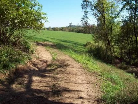 63 A Great To Hunt Great To Build property photo 1