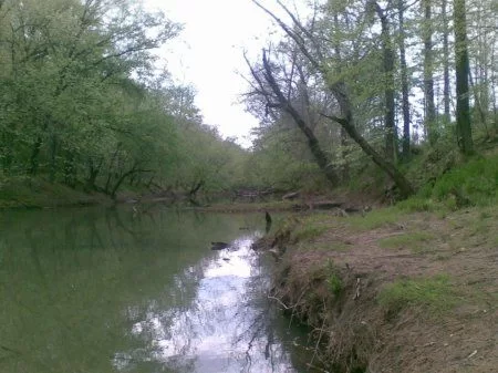 32 Acres On Raccoon Creek property photo 1
