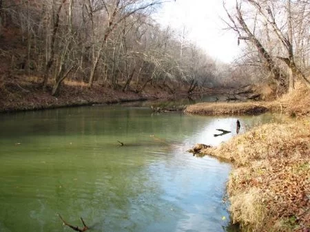 40 Ac 3/4 Mile Of Creek Frontage property photo 1