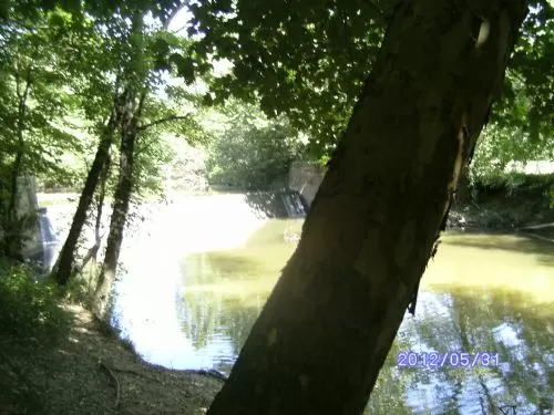 Open House in Jackson &