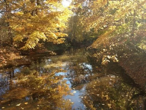 20 Acre Beautiful Property property photo 1