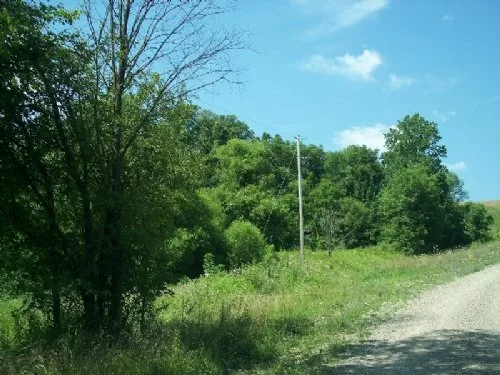 7.7 Acres At Kimbolton property photo 1