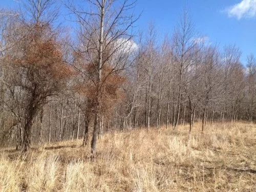 6.6 Ac Touch Wayne National Forest property photo 1